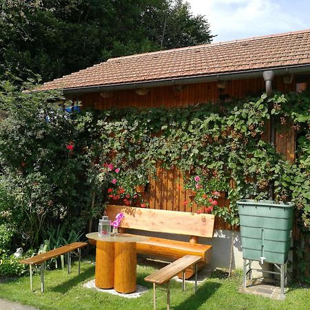 Privatzimmer Am Weinbrunnen Vorchdorf Ngoại thất bức ảnh
