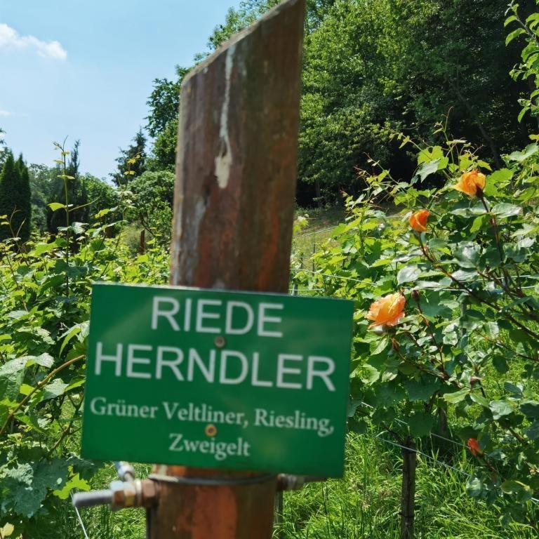 Privatzimmer Am Weinbrunnen Vorchdorf Ngoại thất bức ảnh