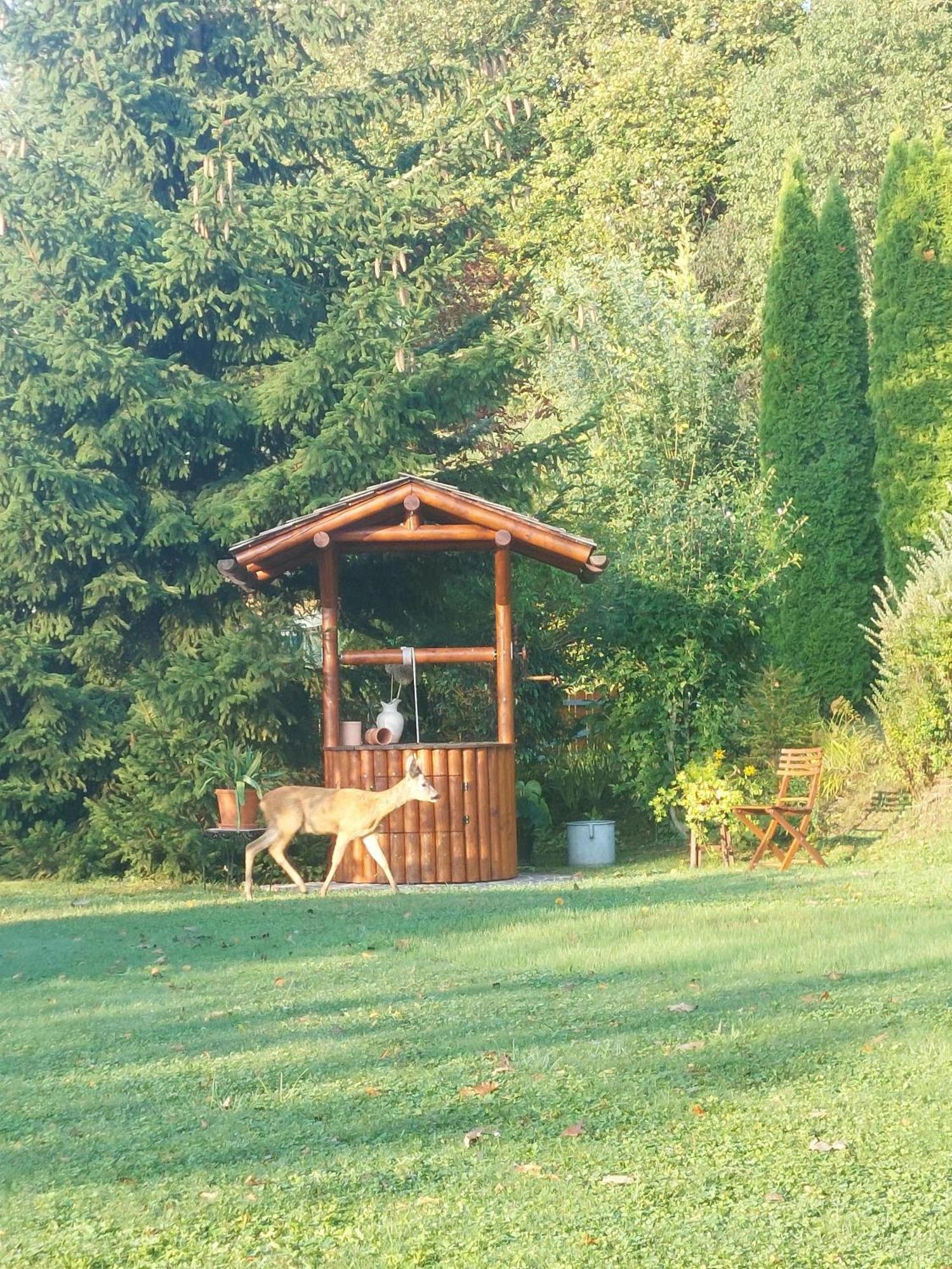 Privatzimmer Am Weinbrunnen Vorchdorf Ngoại thất bức ảnh